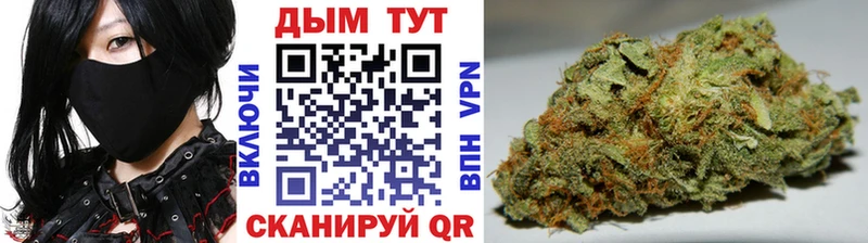 где найти наркотики  Трёхгорный  гидра зеркало  Марихуана OG Kush 